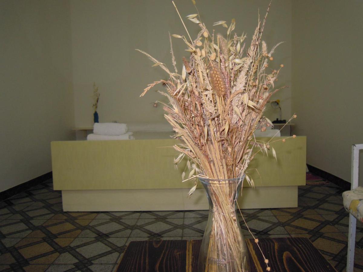 Angie'S Shared Villa Tam Tirana Exterior photo