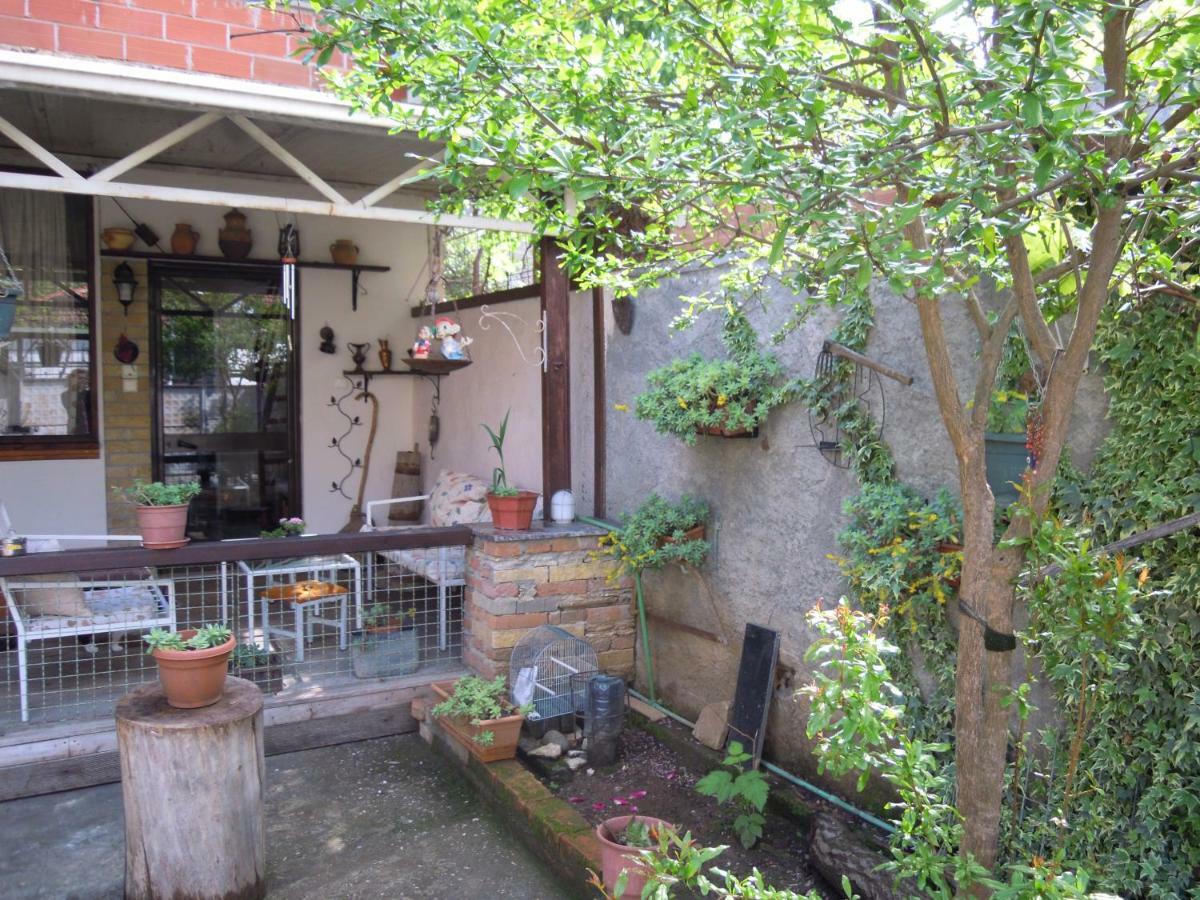 Angie'S Shared Villa Tam Tirana Exterior photo